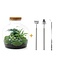 DIY terrarium - Fat Joe Groen - ↕ 30 cm - Hark + Schep + Pincet