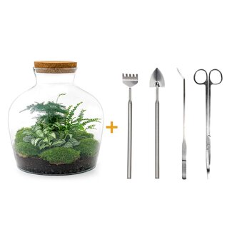 DIY terrarium - Fat Joe Groen - ↕ 30 cm - Hark + Schep + Pincet + Schaar