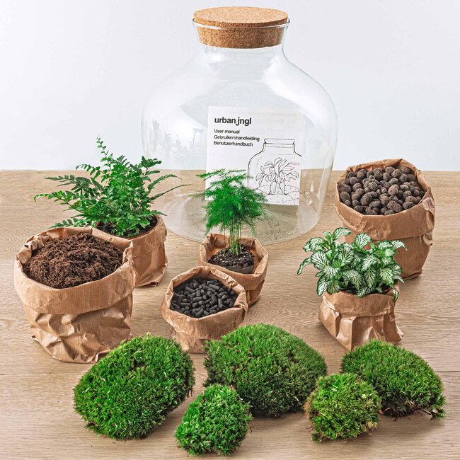 DIY terrarium - Fat Joe Groen - ↕ 30 cm - Hark + Schep + Pincet + Schaar