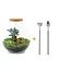 DIY terrarium - Bolder Bob Bonsai - ↕ 30 cm - Hark + Schep
