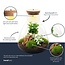 DIY terrarium - Sam Coffea met lamp - ↕ 30 cm - Bottle Garden - Normaal