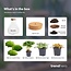 DIY terrarium - Sam Coffea met lamp - ↕ 30 cm - Bottle Garden - Normaal