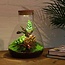 DIY terrarium - Sam Calathea met licht - ↕ 30 cm - Hark + Schep + Pincet + Schaar