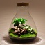 DIY terrarium - Sam Calathea met licht - ↕ 30 cm - Hark + Schep + Pincet + Schaar