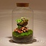 DIY terrarium - Melkachtige Calathea met licht - ↕ 31 cm - Normaal