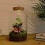DIY terrarium - Melkachtige Calathea met licht - ↕ 31 cm - Normaal