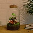 DIY terrarium - Melkachtige Calathea met licht - ↕ 31 cm - Hark + Schep