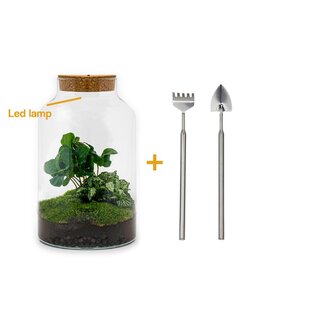 DIY terrarium - Milky Coffea met lamp - ↕ 31 cm - Hark + Schep