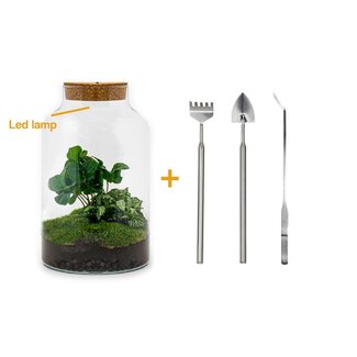DIY terrarium - Milky Coffea met lamp - ↕ 31 cm - Hark + Schep + Tweezer