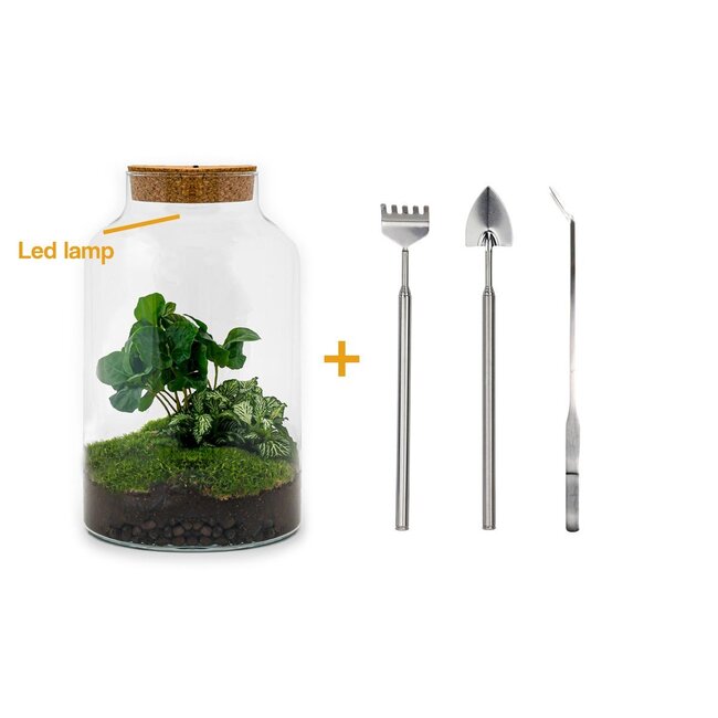 DIY terrarium - Milky Coffea met lamp - ↕ 31 cm - Hark + Schep + Tweezer