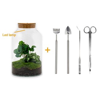 DIY terrarium - Milky Coffea met lamp - ↕ 31 cm - Hark + Schep + Pincet + Schaar