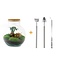 DIY terrarium - Teddy bonsai - ↕ 26,5 cm - Hark + Schep + Pincet