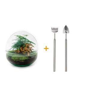 DIY terrarium - Koepel Rood - ↕ 20 cm - Hark + Schep