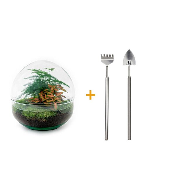 DIY terrarium - Koepel Rood - ↕ 20 cm - Hark + Schep