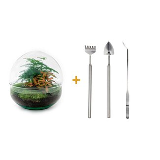 DIY terrarium - Koepel Rood - ↕ 20 cm - Hark + Schep + Pincet