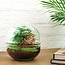 DIY terrarium - Koepel Rood - ↕ 20 cm - Hark + Schep + Pincet