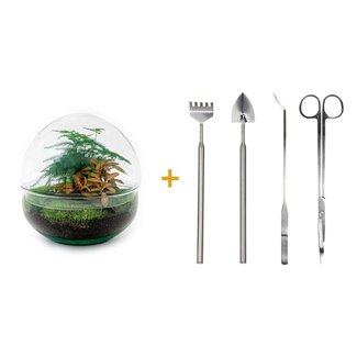 DIY terrarium - Koepel Rood - ↕ 20 cm - Hark + Schep + Pincet + Schaar