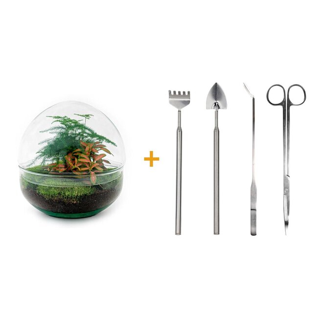 DIY terrarium - Koepel Rood - ↕ 20 cm - Hark + Schep + Pincet + Schaar
