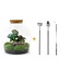 DIY terrarium - Fat Joe Coffea - ↕ 30 cm - Hark + Schep + Pincet