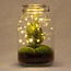 DIY terrarium - Pot Kerst - ↕ 28 cm