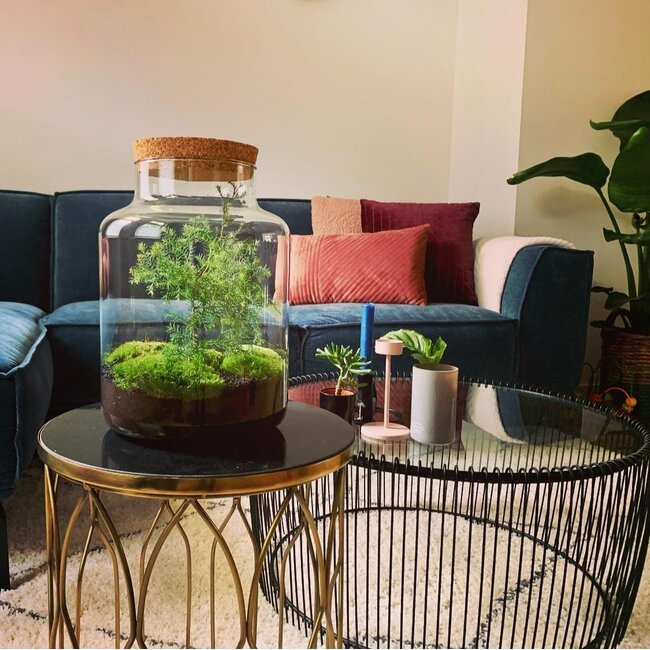 DIY terrarium - Pot Kerst - ↕ 28 cm