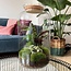 DIY terrarium - Botanical Sven XL - ↕ 43 cm - Normaal	DIY terrarium - Botanical Sven XL - ↕ 43 cm - Normaal