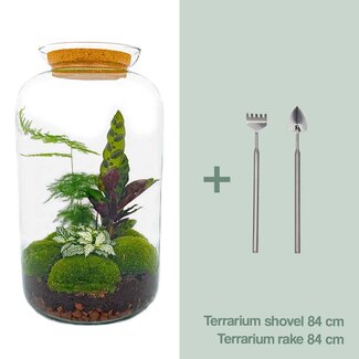 DIY terrarium - Botanical Sven XL - ↕ 43 cm - Hark + Schep