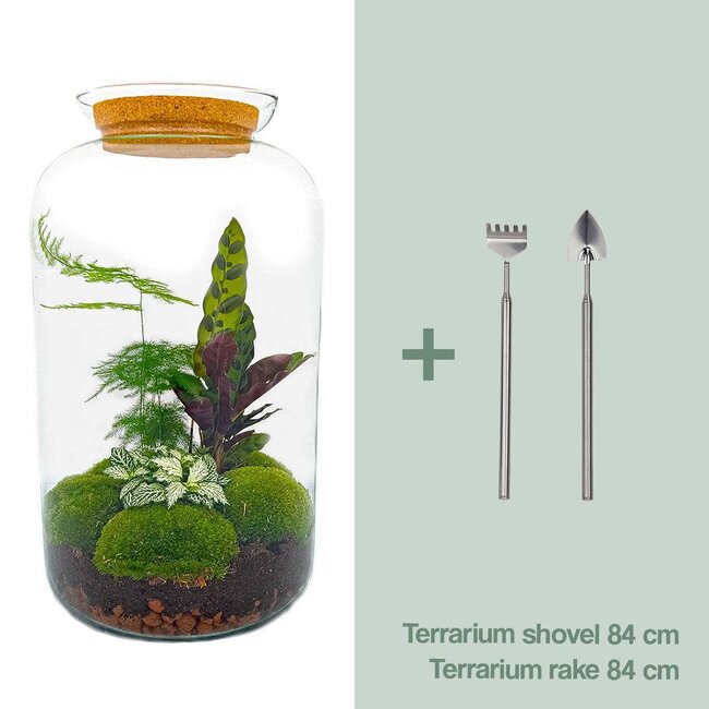 DIY terrarium - Botanical Sven XL - ↕ 43 cm - Hark + Schep