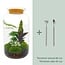 DIY terrarium - Botanical Sven XL - ↕ 43 cm - Hark + Schep