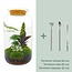 DIY terrarium - Botanical Sven XL - ↕ 43 cm - Hark + Schep + Pincet