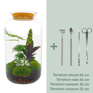 DIY terrarium - Botanical Sven XL - ↕ 43 cm - Hark + Schep + Pincet + Schaar