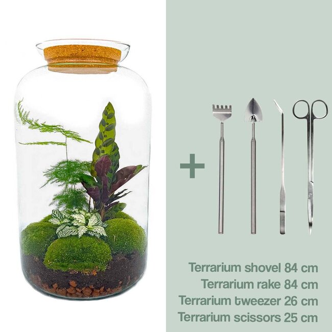 DIY terrarium - Botanical Sven XL - ↕ 43 cm - Hark + Schep + Pincet + Schaar