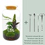 DIY terrarium - Botanical Sven XL - ↕ 43 cm - Hark + Schep + Pincet + Schaar