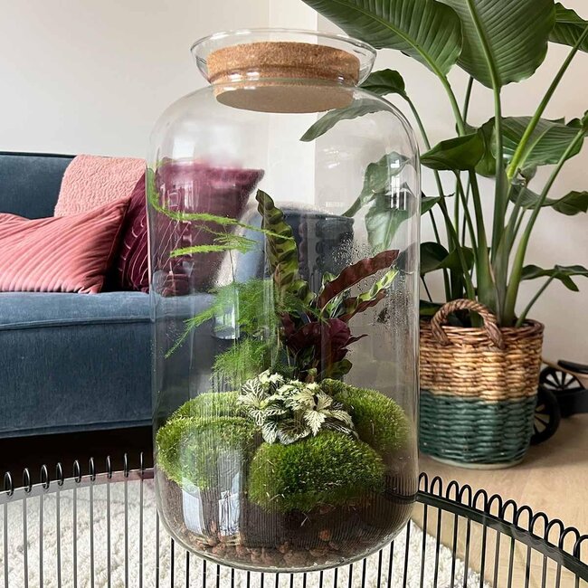 DIY terrarium - Botanical Sven XL - ↕ 43 cm - Hark + Schep + Pincet + Schaar