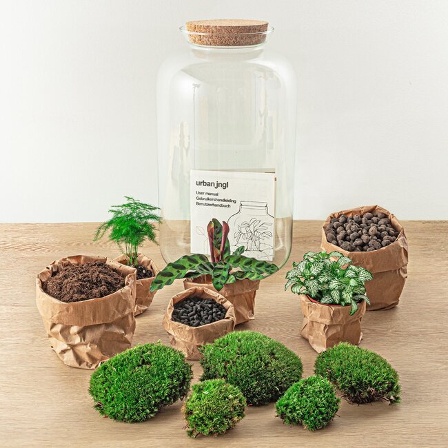 DIY terrarium - Botanical Sven XL - ↕ 43 cm - Hark + Schep + Pincet + Schaar