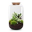 DIY terrarium - Botanical Sven XL - ↕ 43 cm - Hark + Schep + Pincet + Schaar