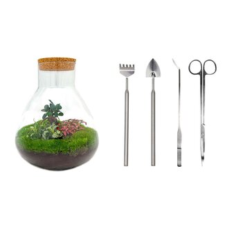 DIY terrarium - Sam XL Bonsai - ↕ 35 cm - Hark + Schep + Pincet + Schaar