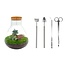 DIY terrarium - Sam XL Bonsai - ↕ 35 cm - Hark + Schep + Pincet + Schaar