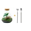 DIY terrarium - Sammie Coffea - ↕ 27 cm - Hark + Schep