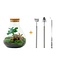 DIY terrarium - Sammie Coffea - ↕ 27 cm - Hark + Schep + Pincet