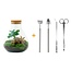 DIY terrarium - Sammie Coffea - ↕ 27 cm - Normaal