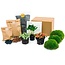 Planten terrarium pakket - Coffea Arabica - Navulling & Startpakket - DIY