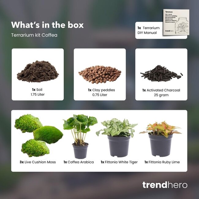 Planten terrarium pakket - Coffea Arabica - Navulling & Startpakket - DIY