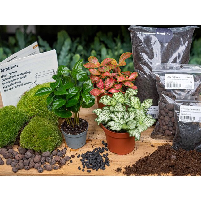 Planten terrarium pakket - Coffea Arabica - Navulling & Startpakket - DIY