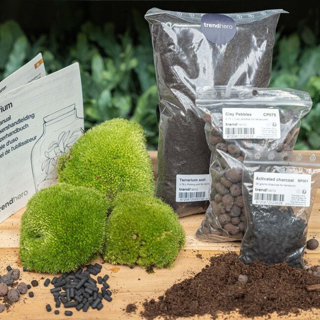 Planten terrarium navulling & startpakket - Maat L/XL