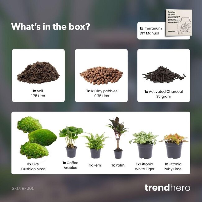 Planten terrarium navulling & startpakket - Jungle