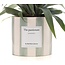 Ananas Rosita Cadeau "De Gepassioneerde" MET WENSKAART! - Ø12cm - ↕35cm