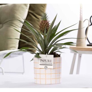 Ananas Rosita In P&PURE Tirza Keramiek - Ø12cm - ↕35cm