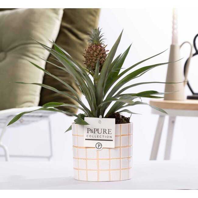Ananas Rosita In P&PURE Tirza Keramiek - Ø12cm - ↕35cm