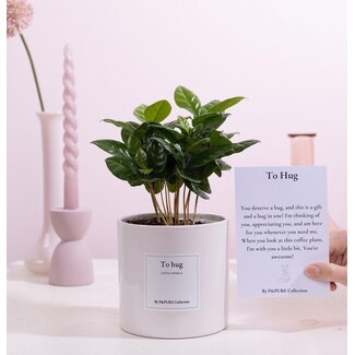 Coffea Arabica Cadeau "Om te Knuffelen" MET WENSKAART! - Ø12cm - ↕20cm